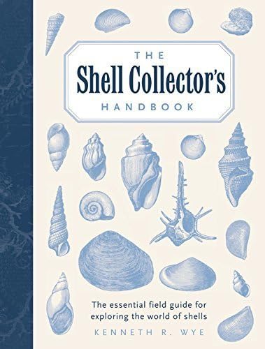 The Collector's Encyclopedia Of Shells: Dance, S. Peter (editor
